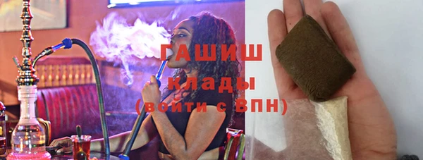 дурь Няндома
