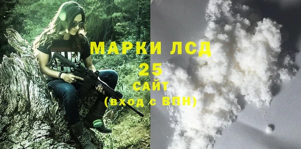 дурь Няндома