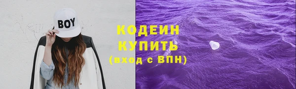 прущие грибы Нязепетровск