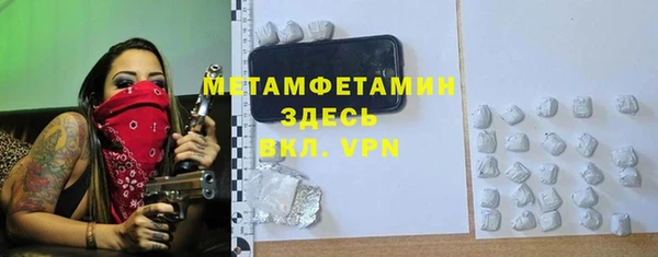индика Нягань