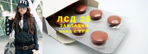 дурь Няндома