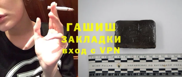 индика Нягань