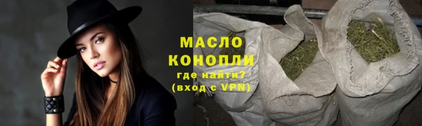 индика Нягань
