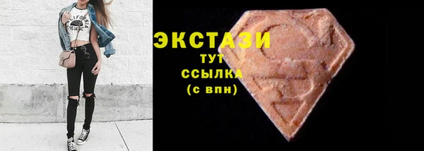 индика Нягань