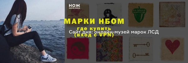дурь Няндома