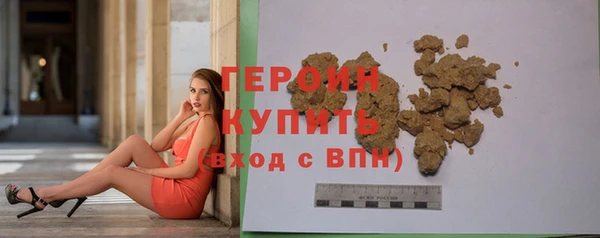 индика Нягань