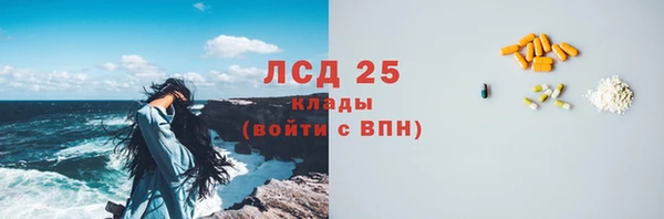 индика Нягань