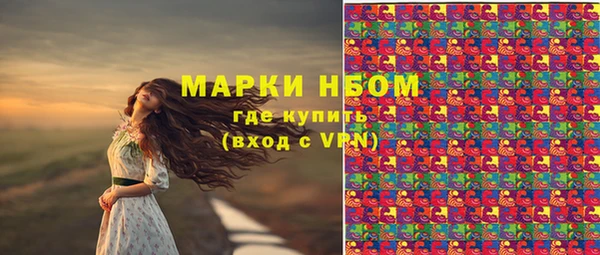 прущие грибы Нязепетровск