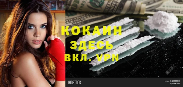 дурь Няндома