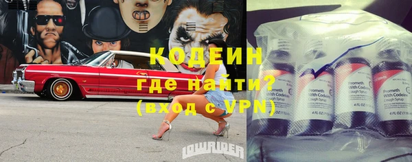индика Нягань