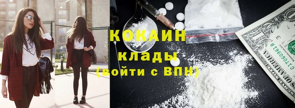 прущие грибы Нязепетровск