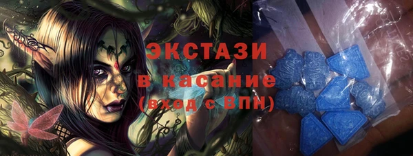 индика Нягань