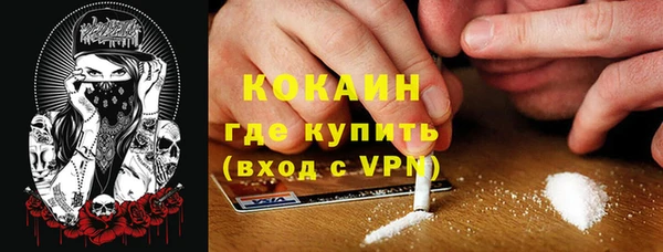 прущие грибы Нязепетровск
