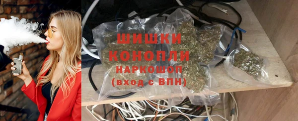 прущие грибы Нязепетровск