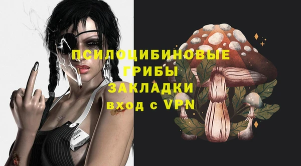 прущие грибы Нязепетровск