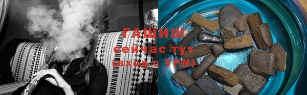индика Нягань
