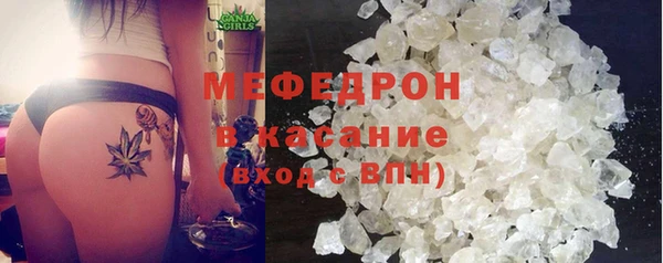 индика Нягань