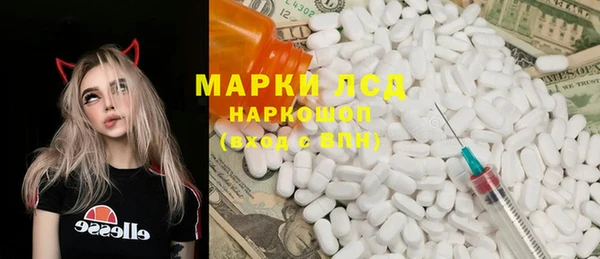 индика Нягань