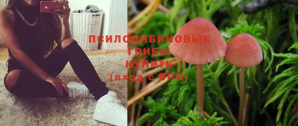 прущие грибы Нязепетровск